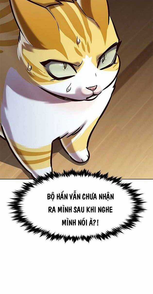 Biến Thân Thành Mèo Chapter 278 trang 17