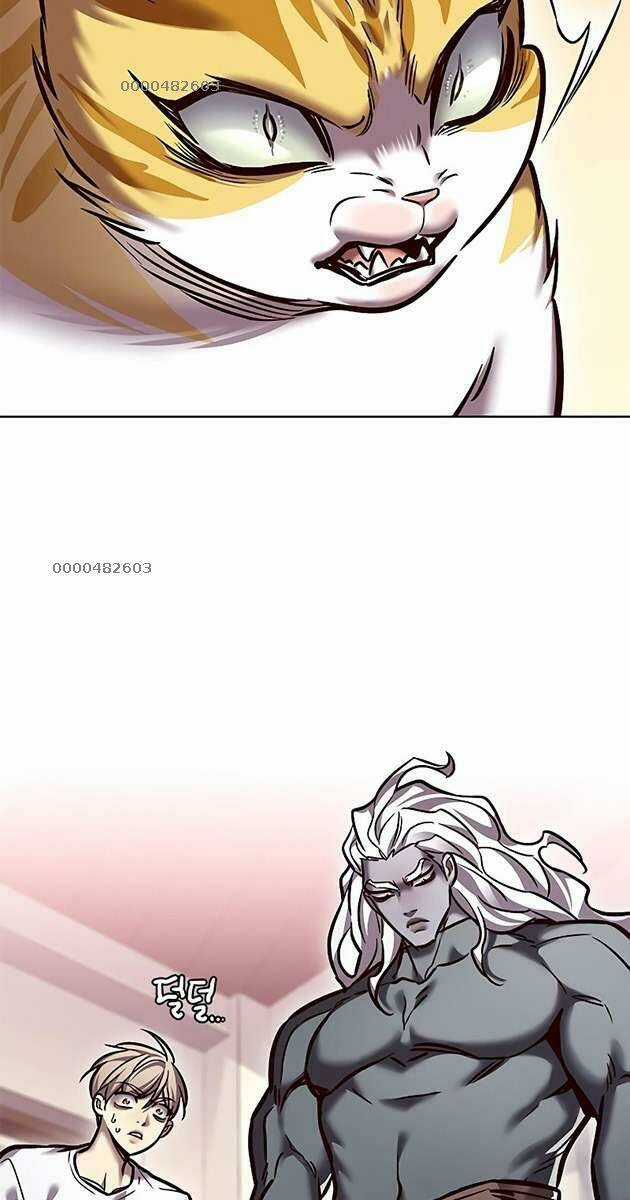 Biến Thân Thành Mèo Chapter 278 trang 2