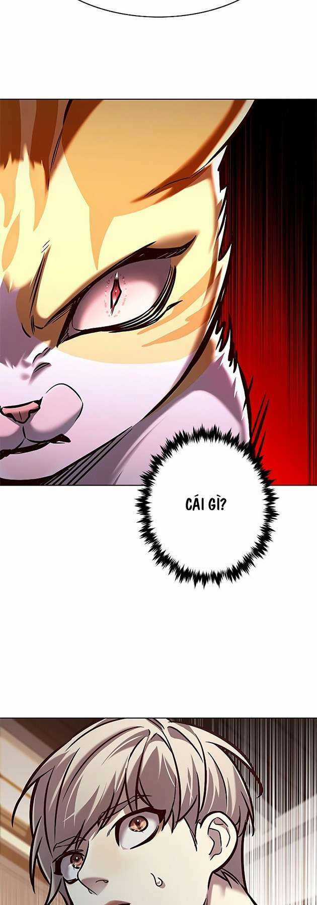 Biến Thân Thành Mèo Chapter 278 trang 22