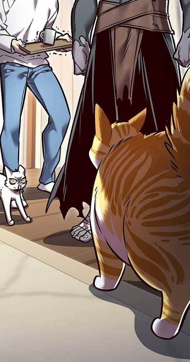 Biến Thân Thành Mèo Chapter 278 trang 3