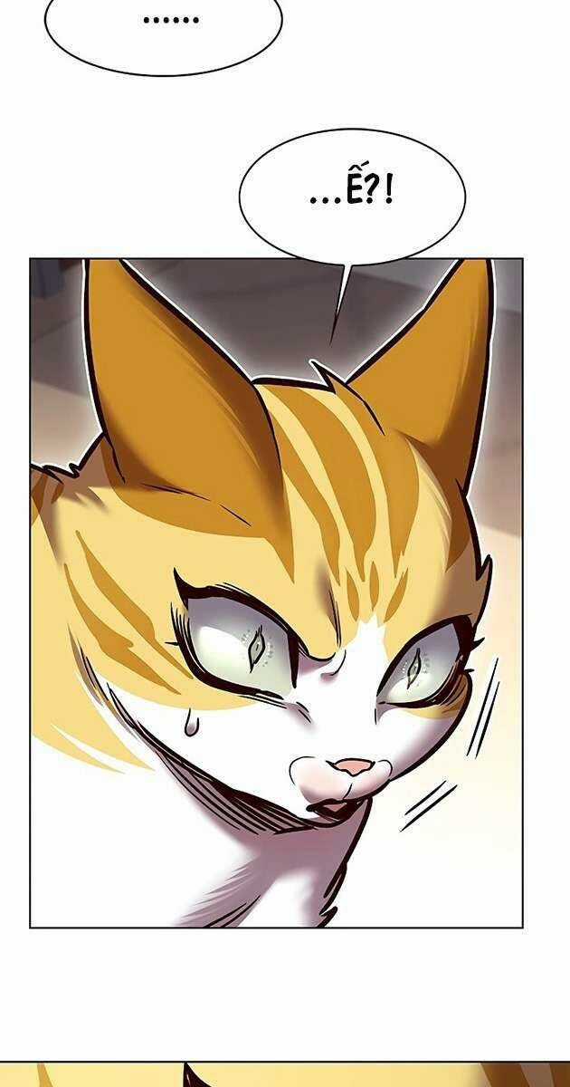 Biến Thân Thành Mèo Chapter 278 trang 5