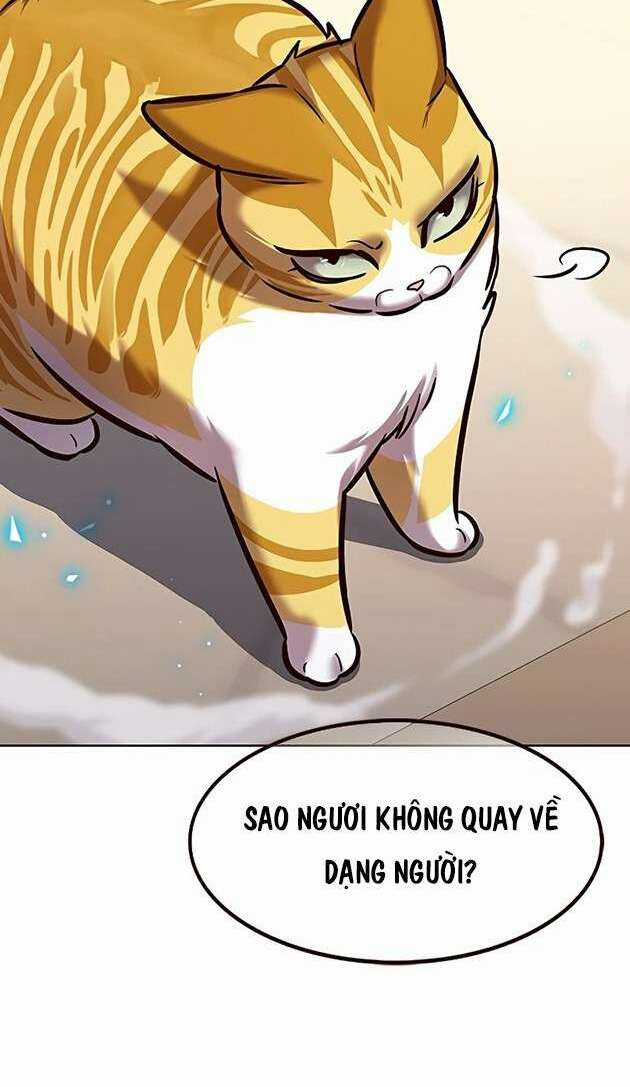 Biến Thân Thành Mèo Chapter 278 trang 55