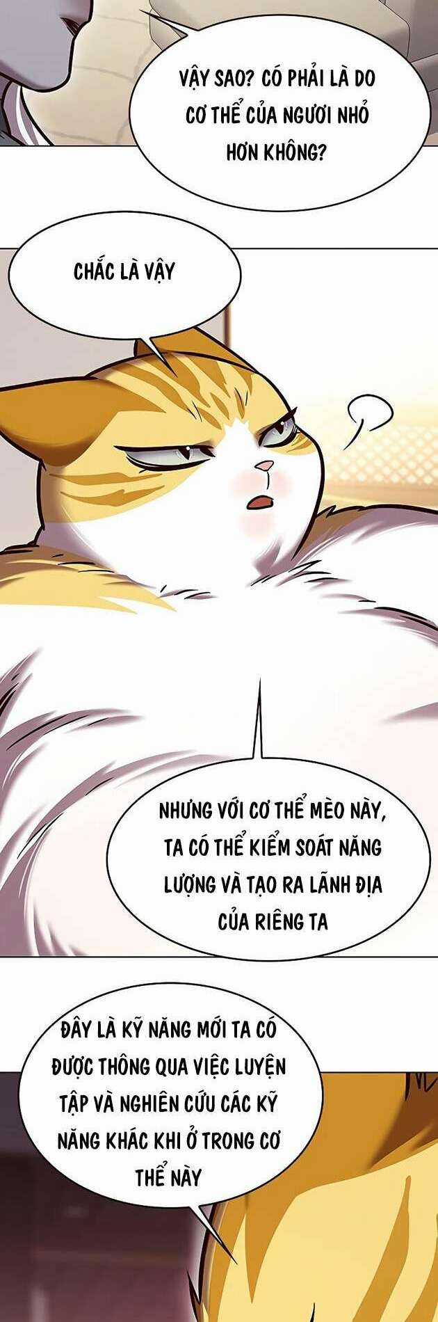 Biến Thân Thành Mèo Chapter 278 trang 57