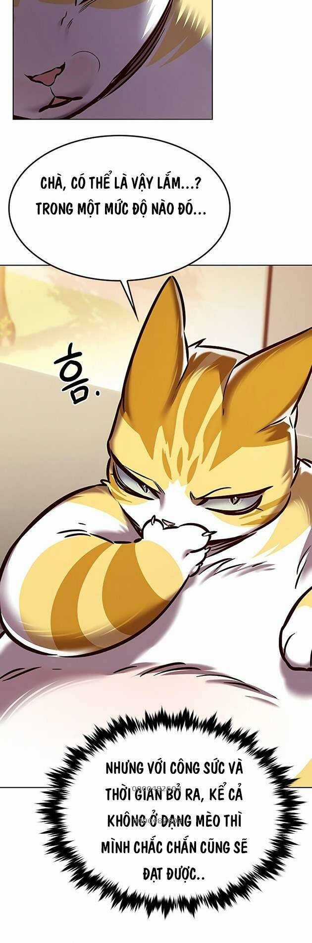 Biến Thân Thành Mèo Chapter 278 trang 60