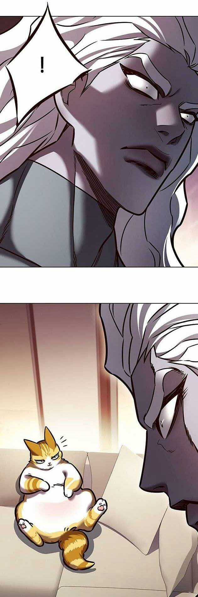 Biến Thân Thành Mèo Chapter 278 trang 61