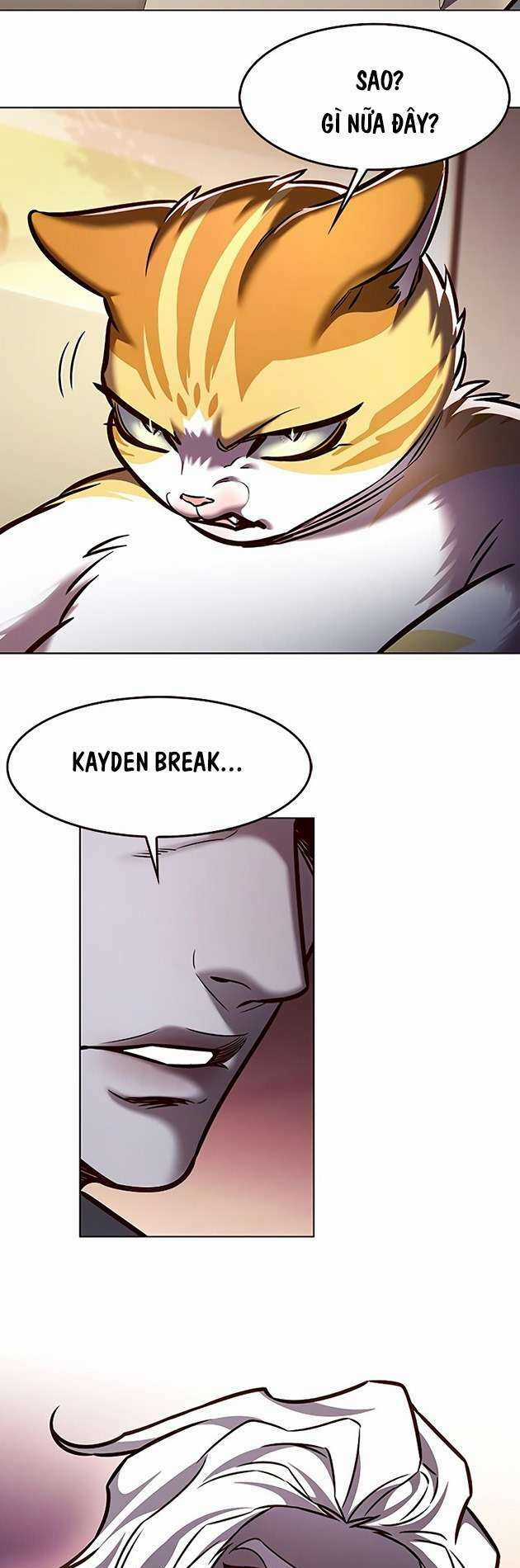 Biến Thân Thành Mèo Chapter 278 trang 62