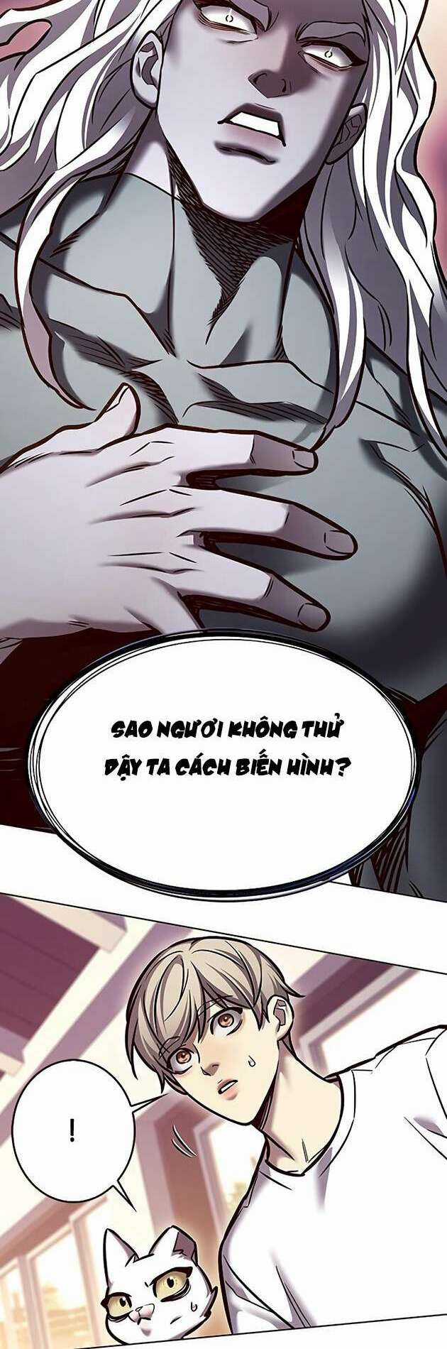 Biến Thân Thành Mèo Chapter 278 trang 63