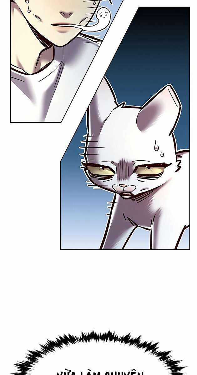 Biến Thân Thành Mèo Chapter 278 trang 7