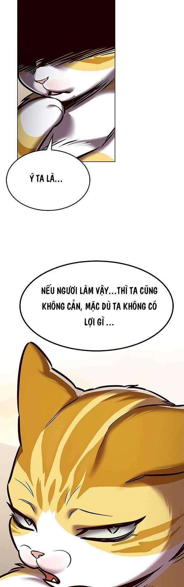 Biến Thân Thành Mèo Chapter 278 trang 72