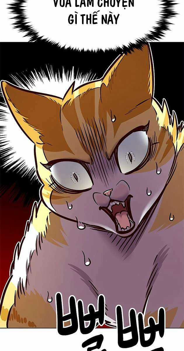 Biến Thân Thành Mèo Chapter 278 trang 8