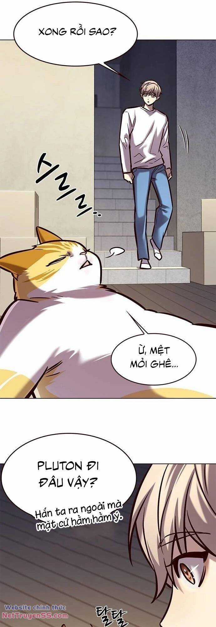 Biến Thân Thành Mèo Chapter 279 trang 11