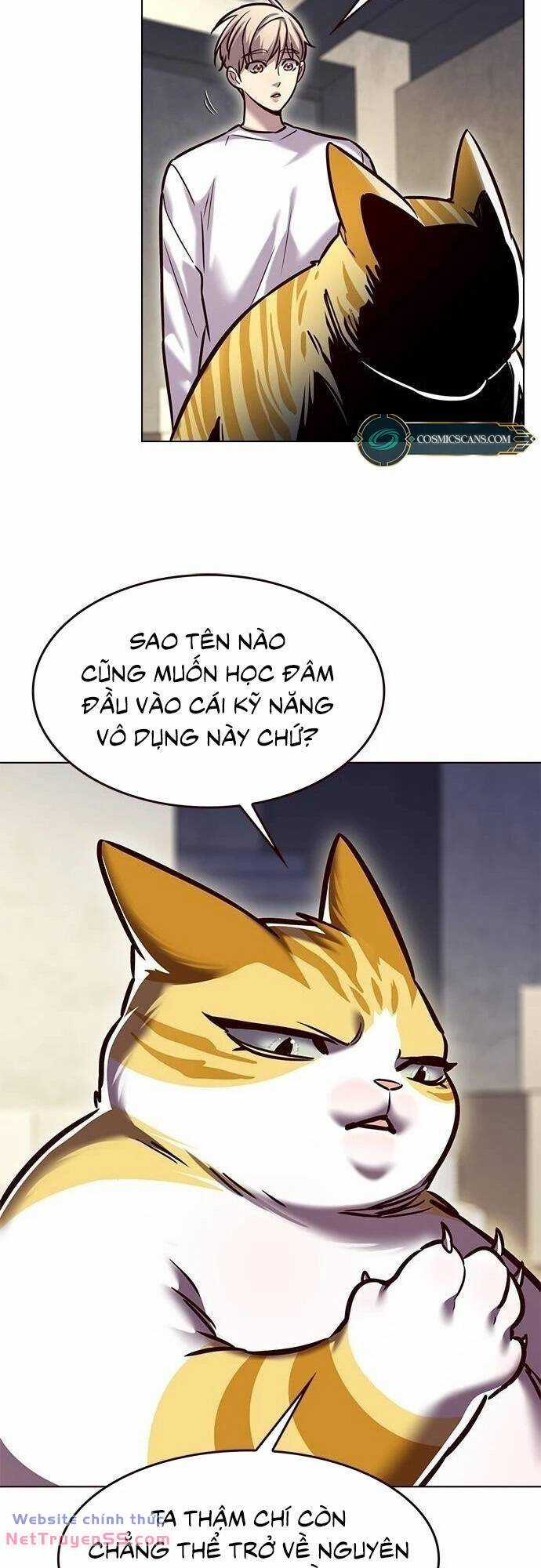 Biến Thân Thành Mèo Chapter 279 trang 13