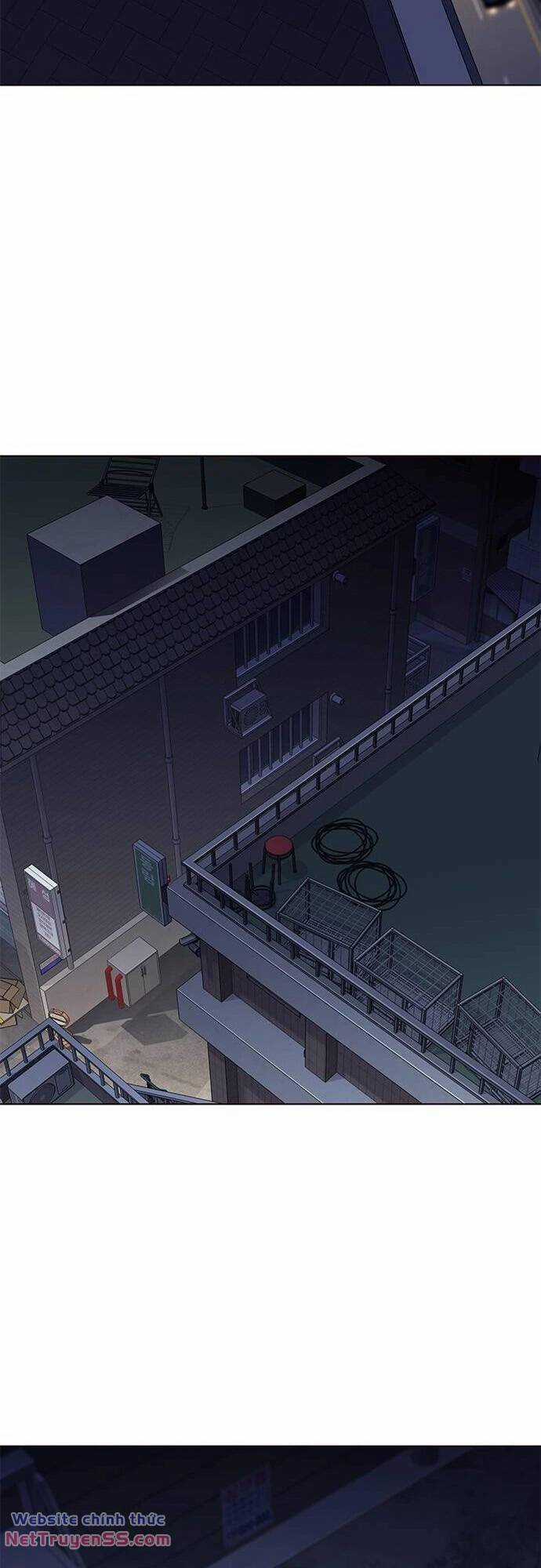 Biến Thân Thành Mèo Chapter 279 trang 24