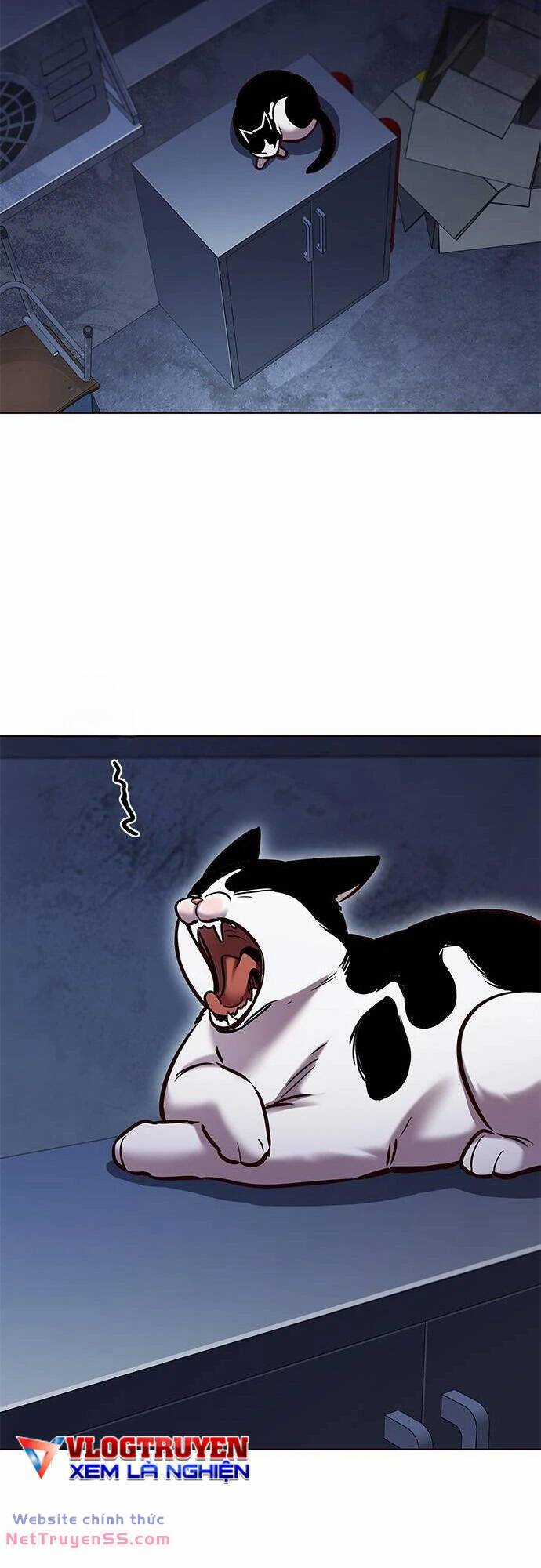 Biến Thân Thành Mèo Chapter 279 trang 25