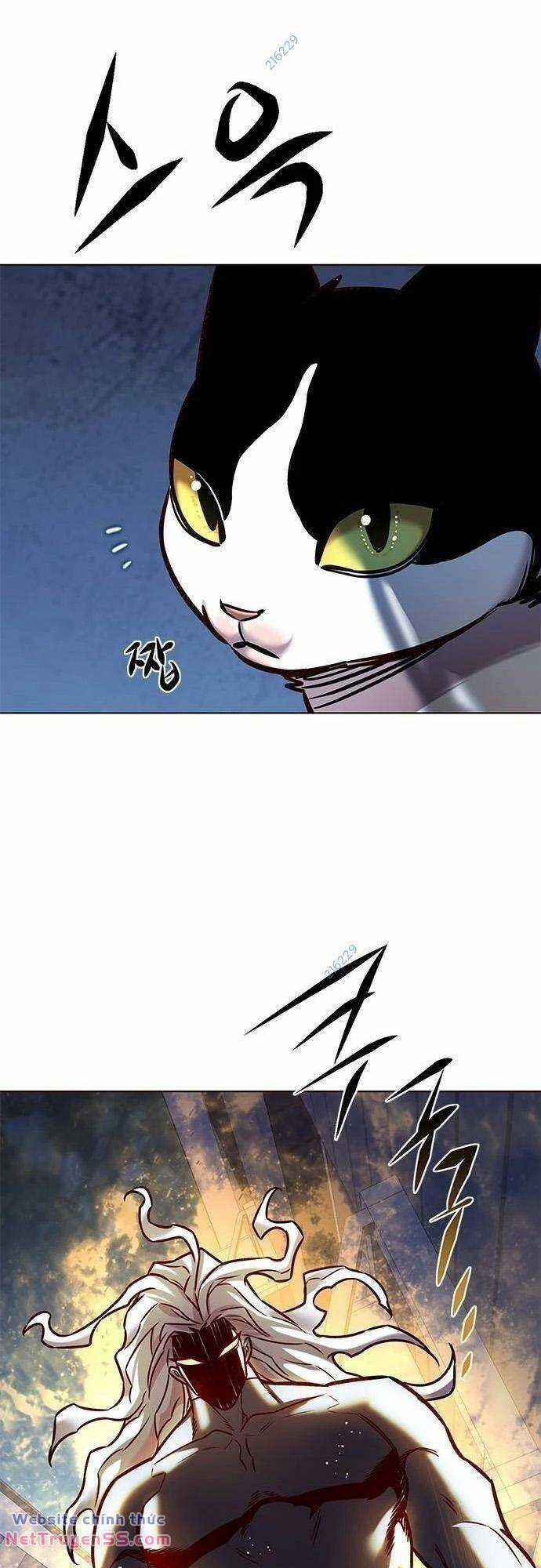 Biến Thân Thành Mèo Chapter 279 trang 26