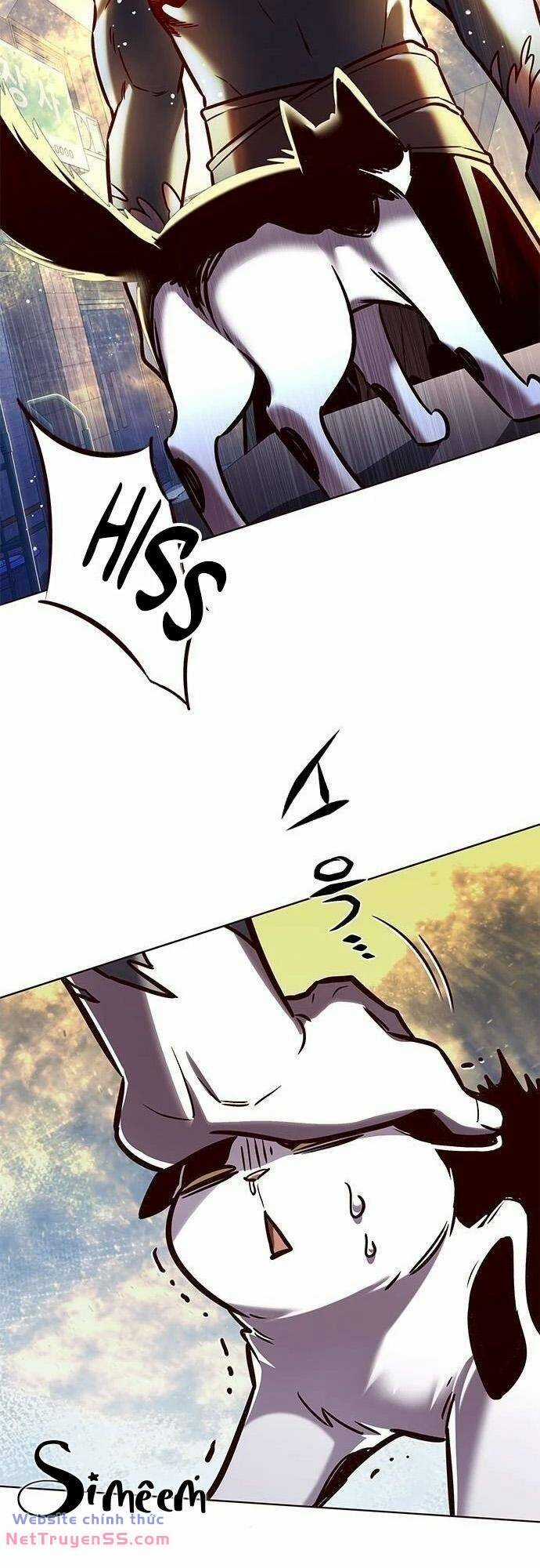 Biến Thân Thành Mèo Chapter 279 trang 27