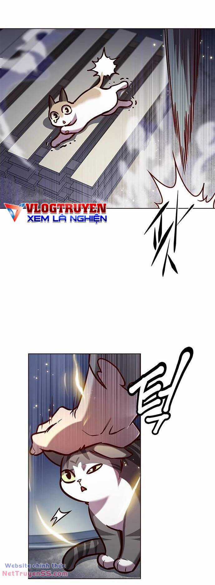 Biến Thân Thành Mèo Chapter 279 trang 35