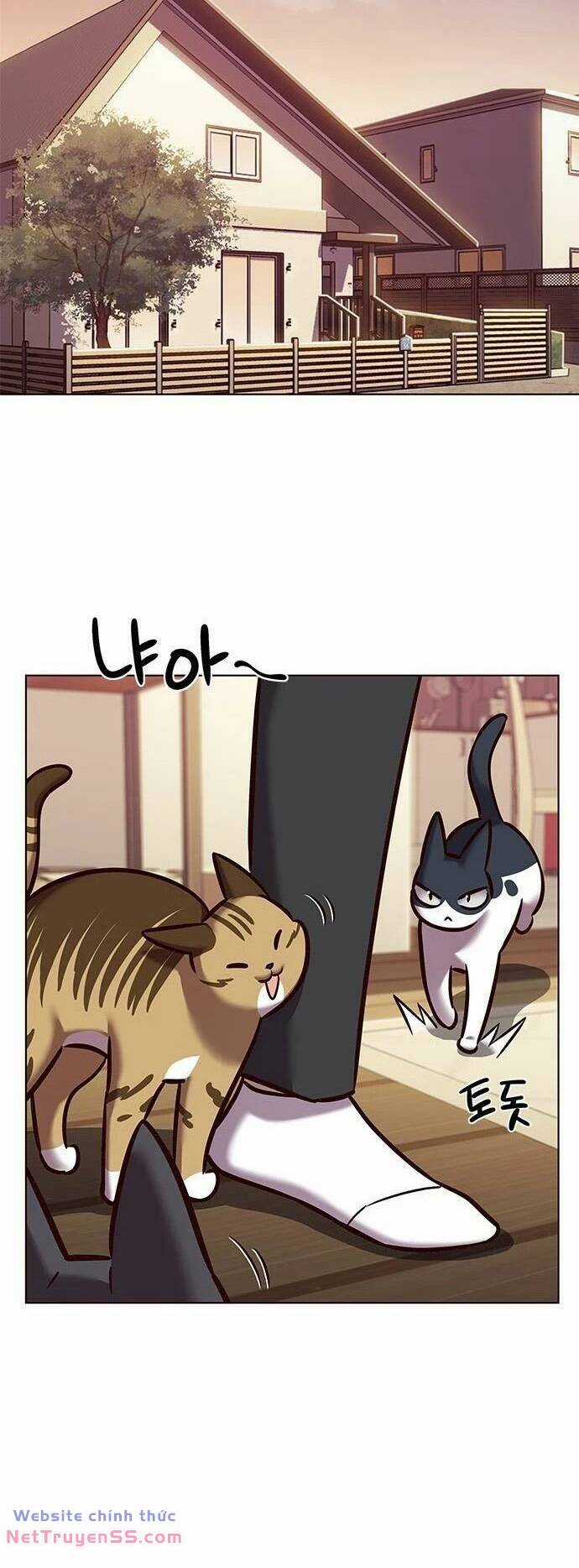 Biến Thân Thành Mèo Chapter 279 trang 40