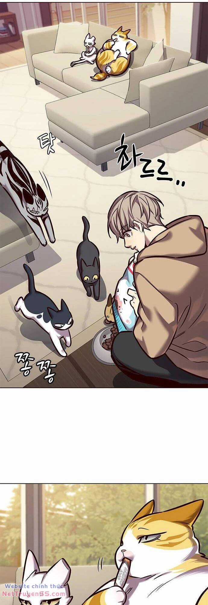 Biến Thân Thành Mèo Chapter 279 trang 41