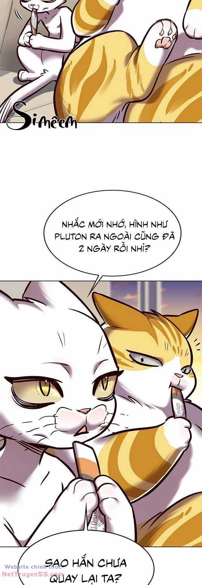 Biến Thân Thành Mèo Chapter 279 trang 42