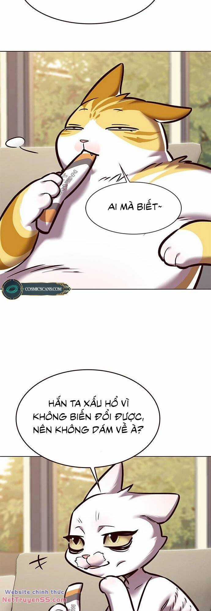 Biến Thân Thành Mèo Chapter 279 trang 43