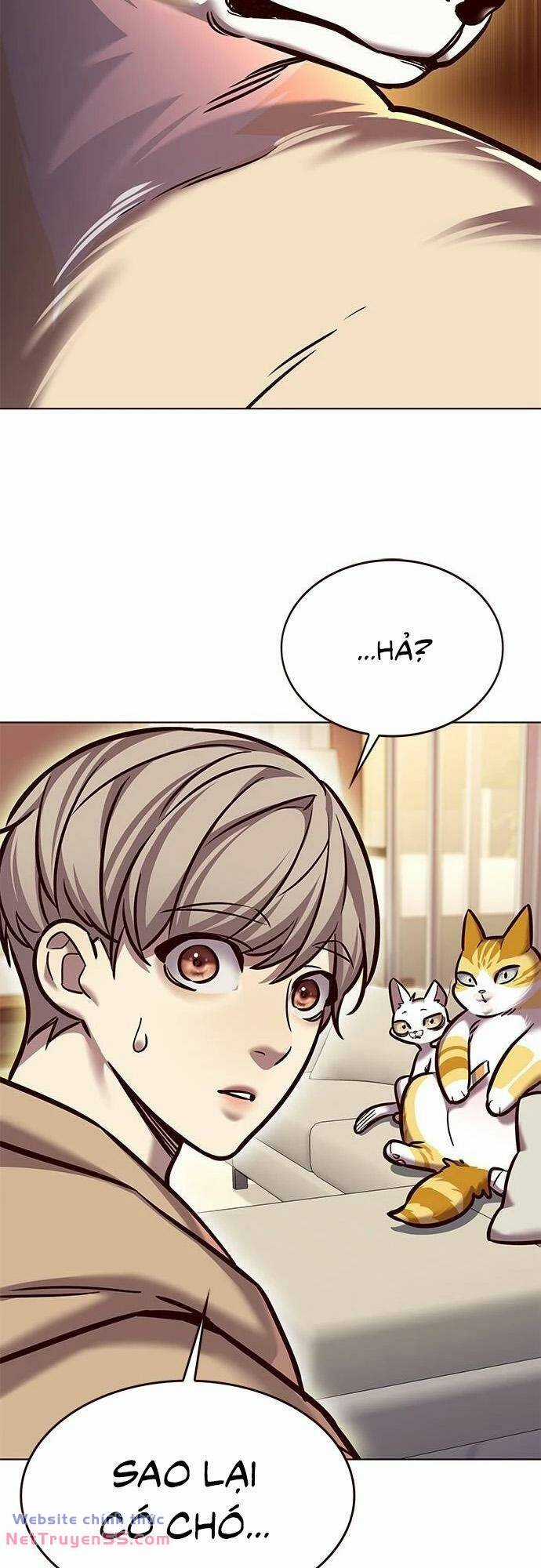 Biến Thân Thành Mèo Chapter 279 trang 47