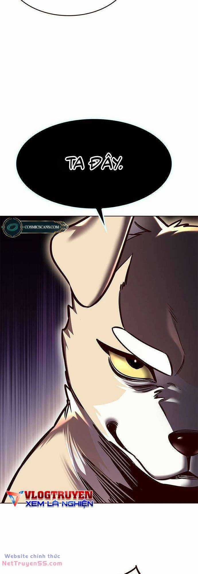 Biến Thân Thành Mèo Chapter 279 trang 48