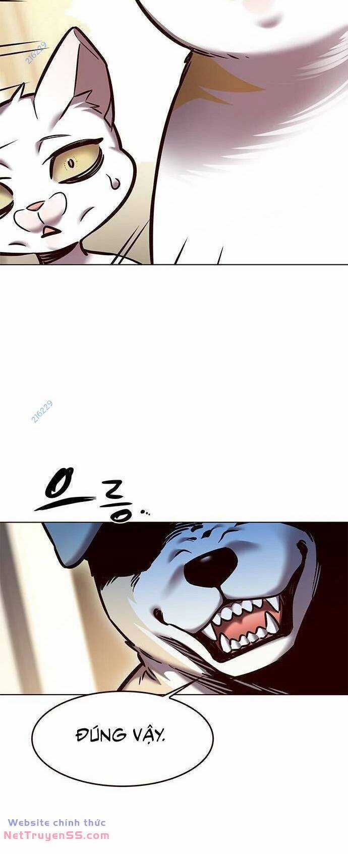 Biến Thân Thành Mèo Chapter 279 trang 50