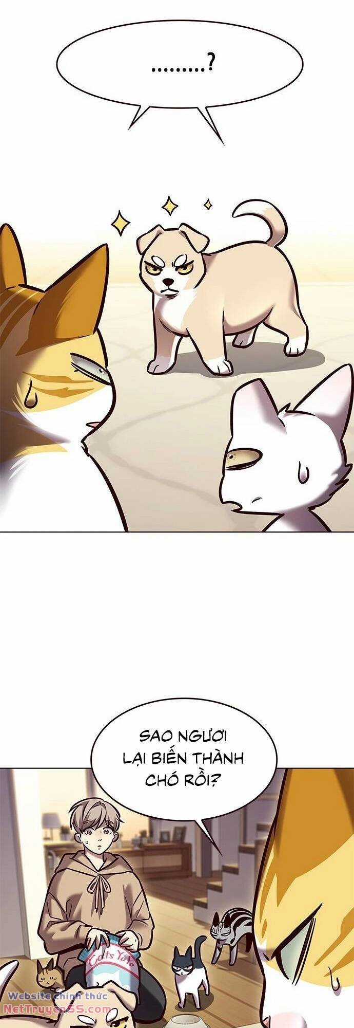 Biến Thân Thành Mèo Chapter 279 trang 52