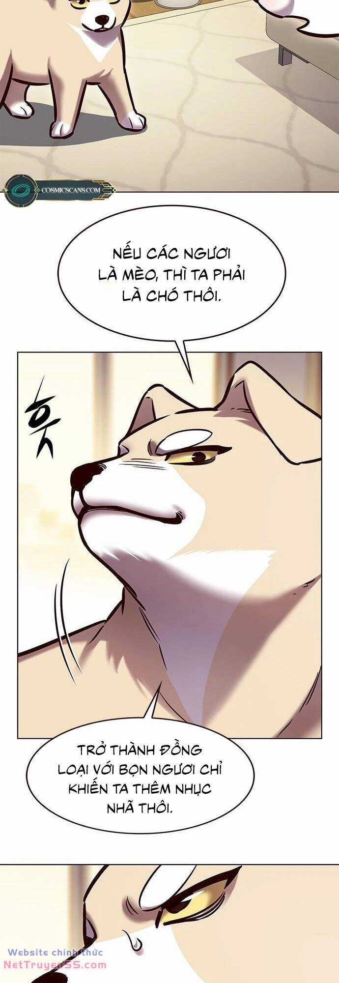 Biến Thân Thành Mèo Chapter 279 trang 53