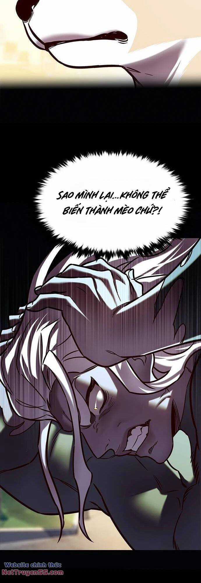 Biến Thân Thành Mèo Chapter 279 trang 54