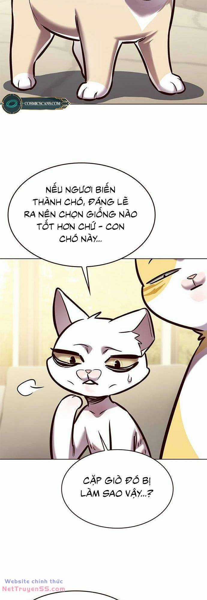Biến Thân Thành Mèo Chapter 279 trang 58