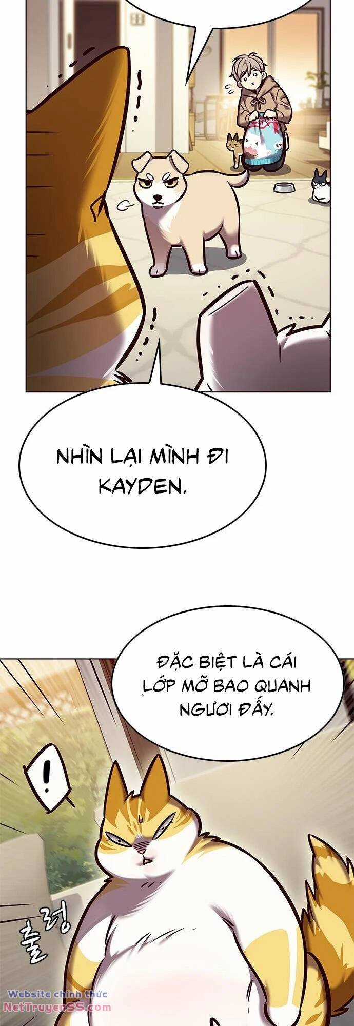 Biến Thân Thành Mèo Chapter 279 trang 62