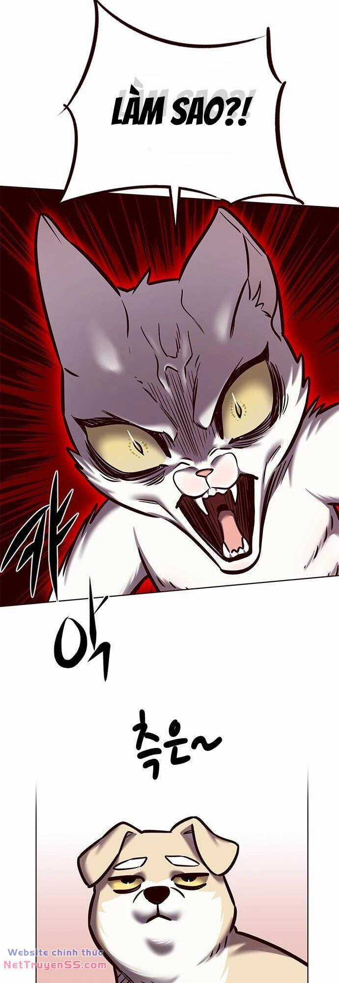 Biến Thân Thành Mèo Chapter 279 trang 64