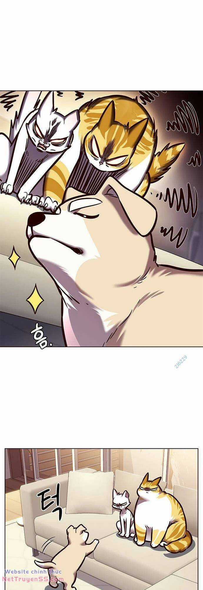 Biến Thân Thành Mèo Chapter 279 trang 66