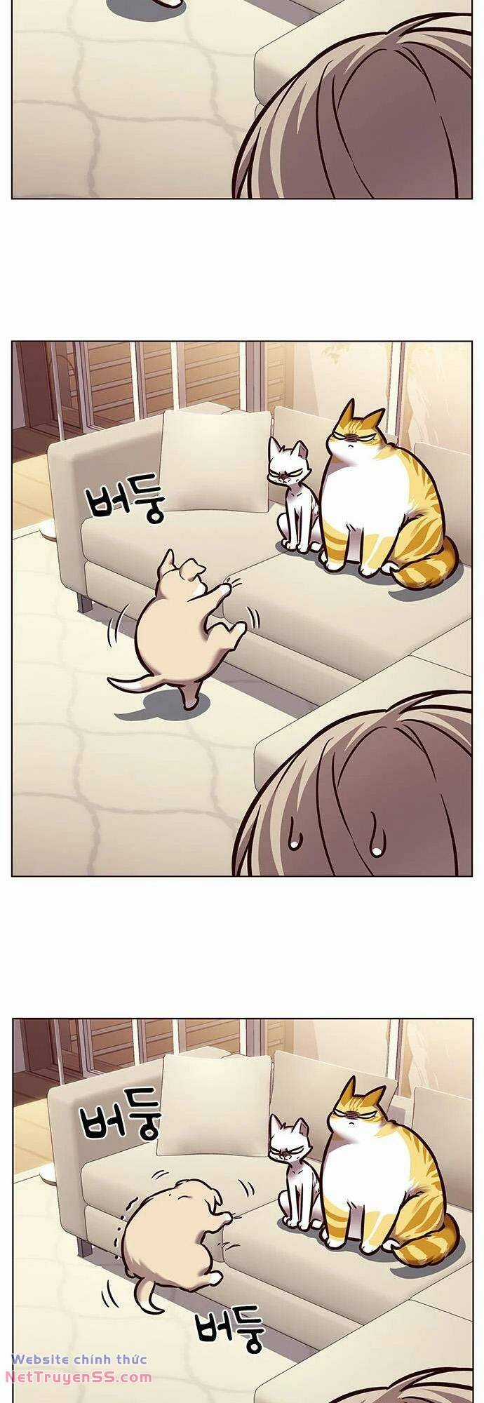 Biến Thân Thành Mèo Chapter 279 trang 67