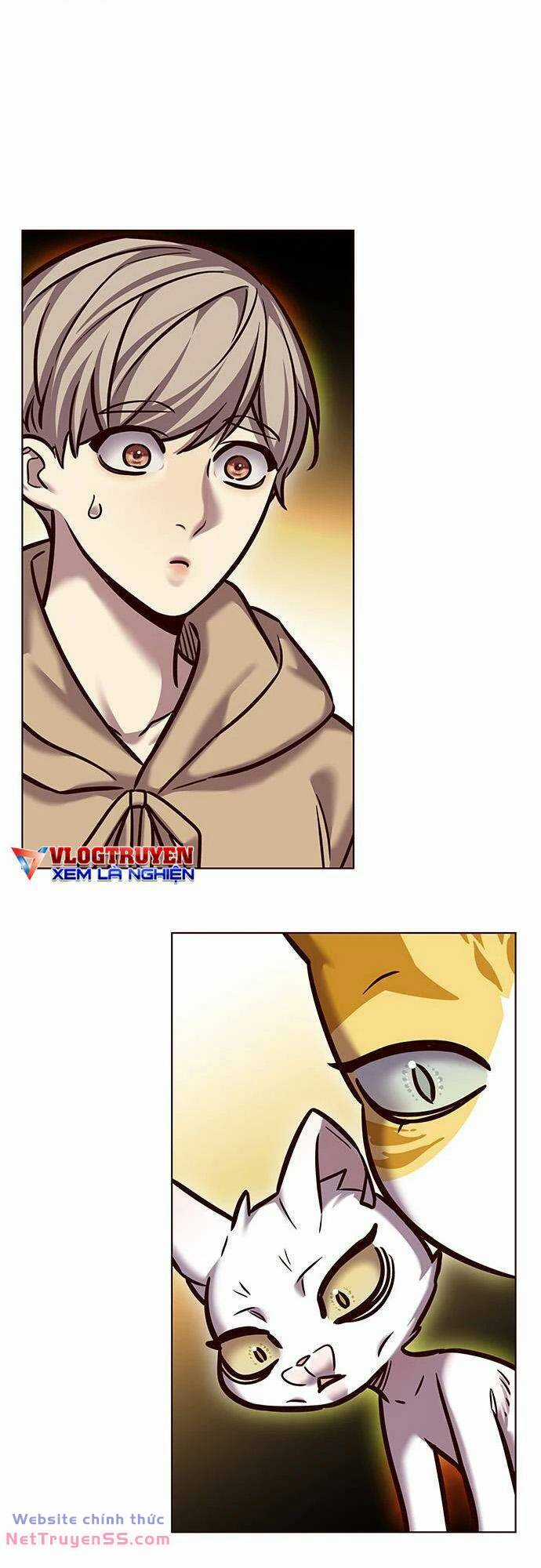 Biến Thân Thành Mèo Chapter 279 trang 69