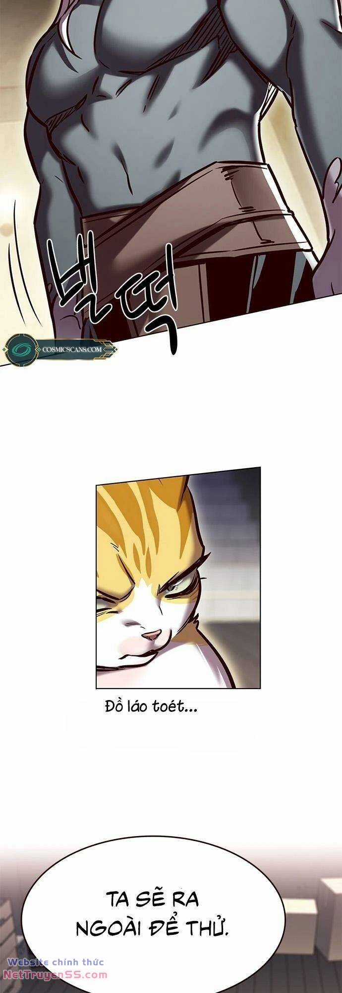 Biến Thân Thành Mèo Chapter 279 trang 8