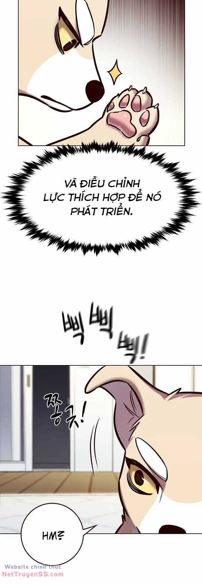 Biến Thân Thành Mèo Chapter 280 trang 10