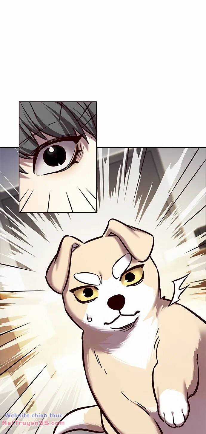 Biến Thân Thành Mèo Chapter 280 trang 14