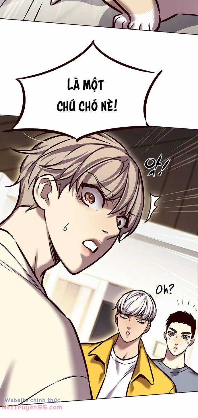 Biến Thân Thành Mèo Chapter 280 trang 15