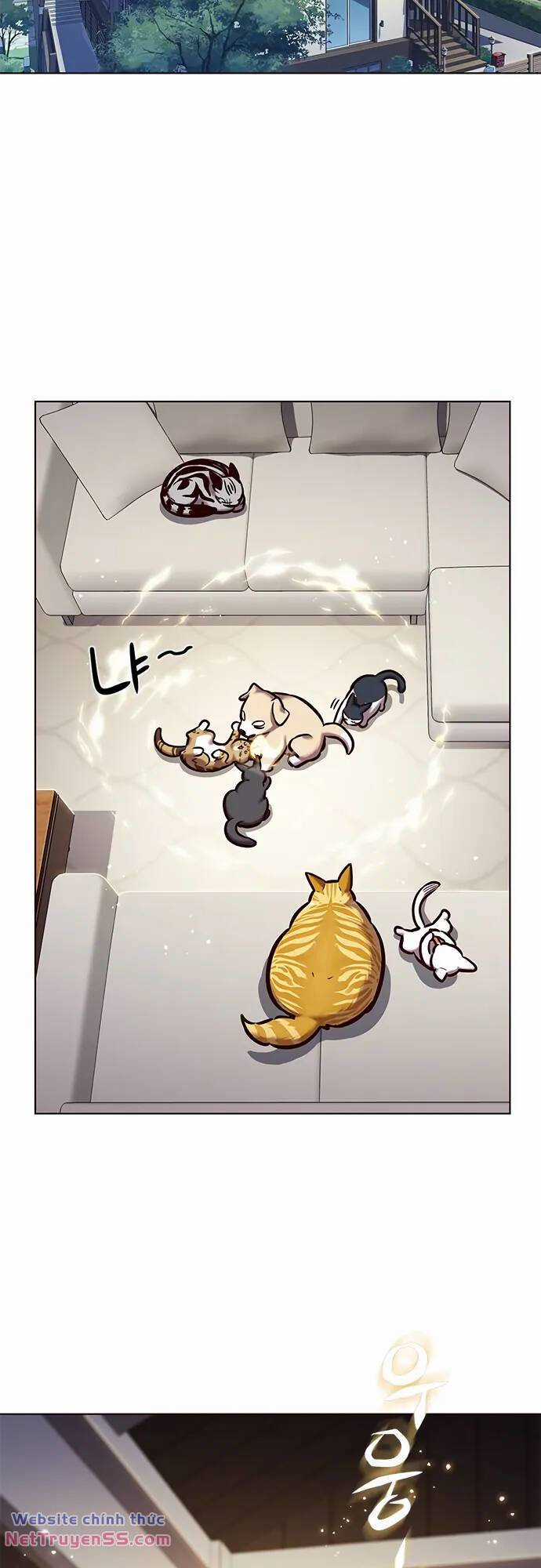 Biến Thân Thành Mèo Chapter 280 trang 2