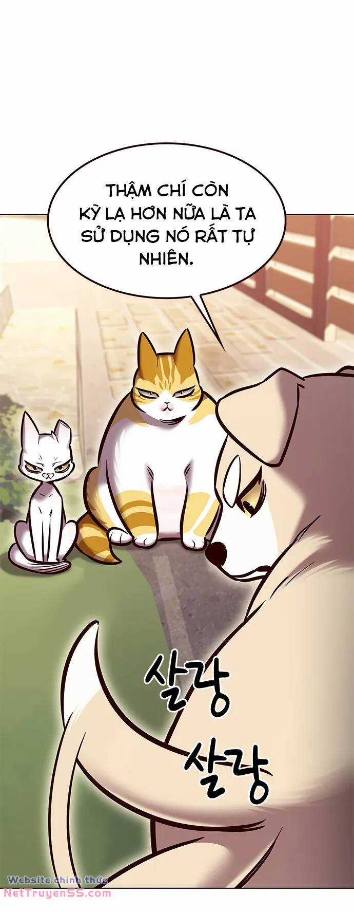 Biến Thân Thành Mèo Chapter 280 trang 25