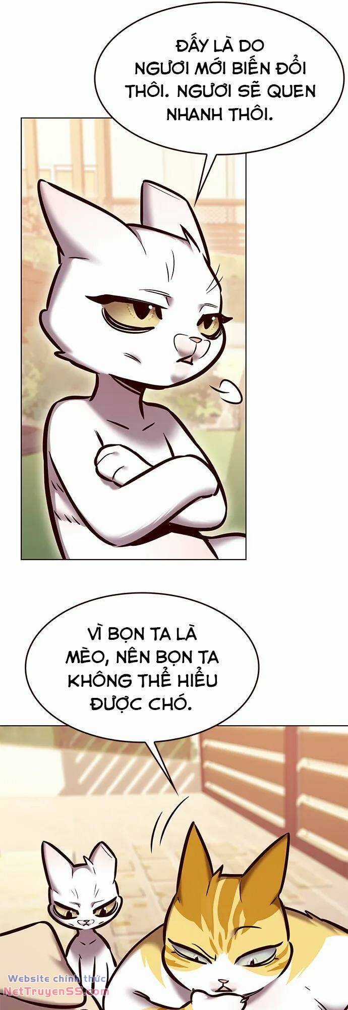 Biến Thân Thành Mèo Chapter 280 trang 26