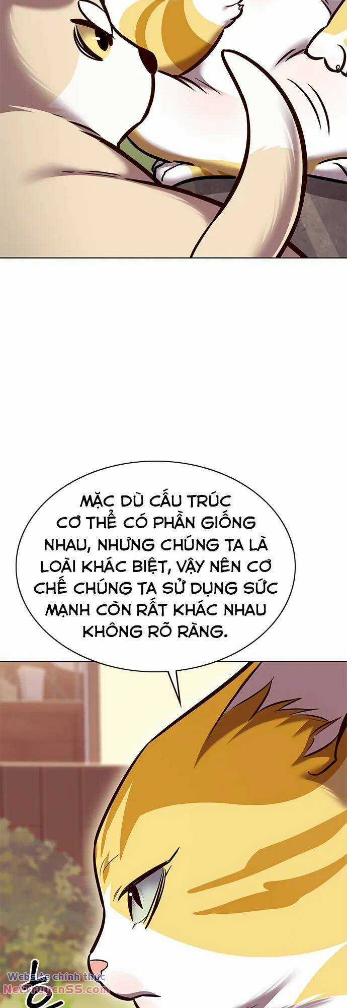 Biến Thân Thành Mèo Chapter 280 trang 27