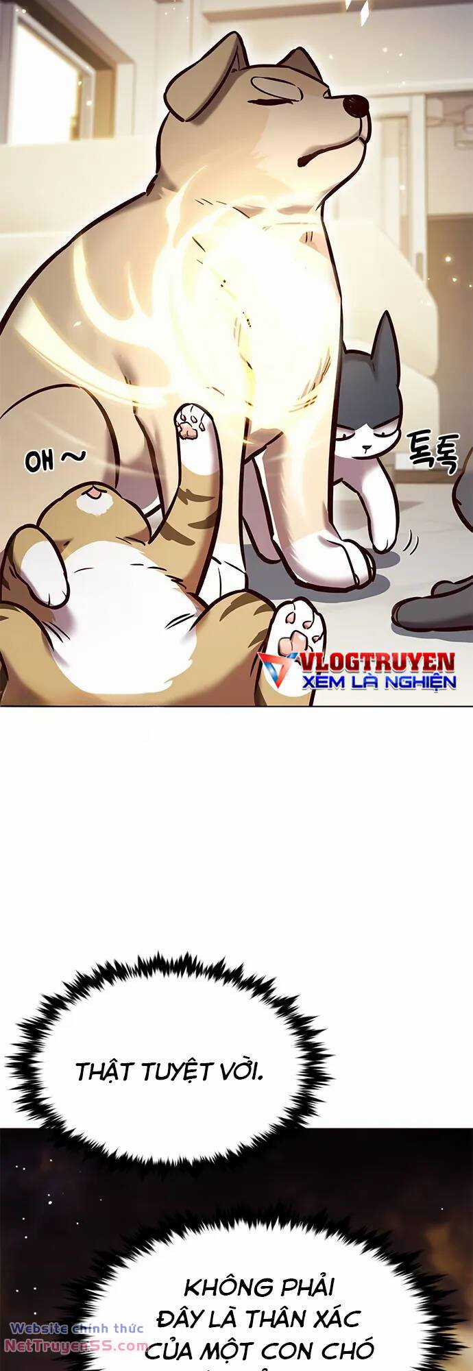 Biến Thân Thành Mèo Chapter 280 trang 3