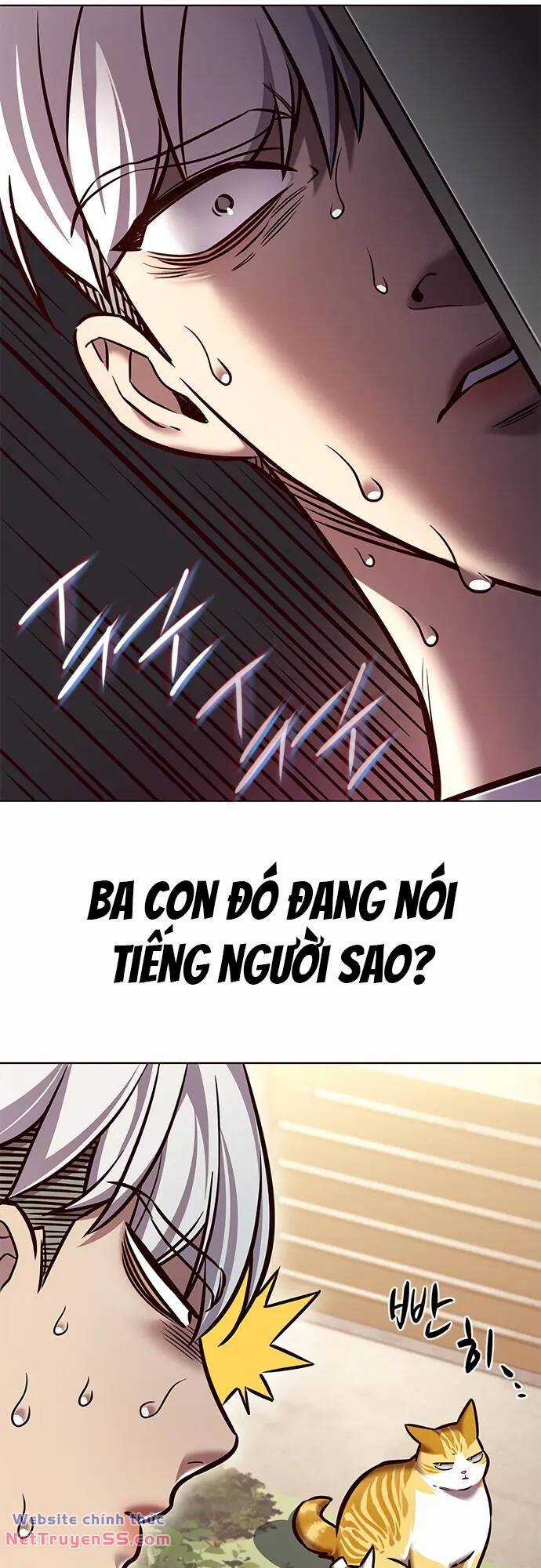 Biến Thân Thành Mèo Chapter 280 trang 31