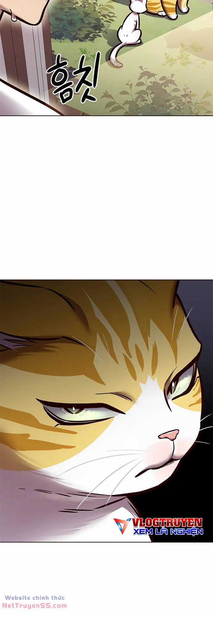 Biến Thân Thành Mèo Chapter 280 trang 32