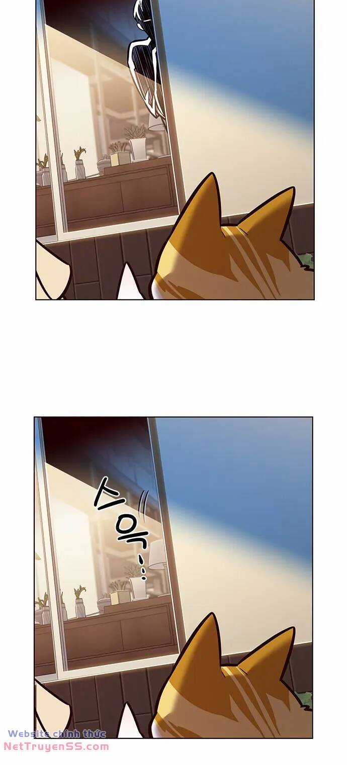 Biến Thân Thành Mèo Chapter 280 trang 33