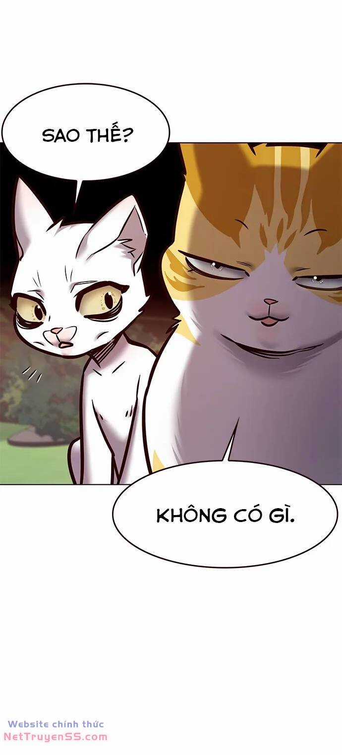 Biến Thân Thành Mèo Chapter 280 trang 34